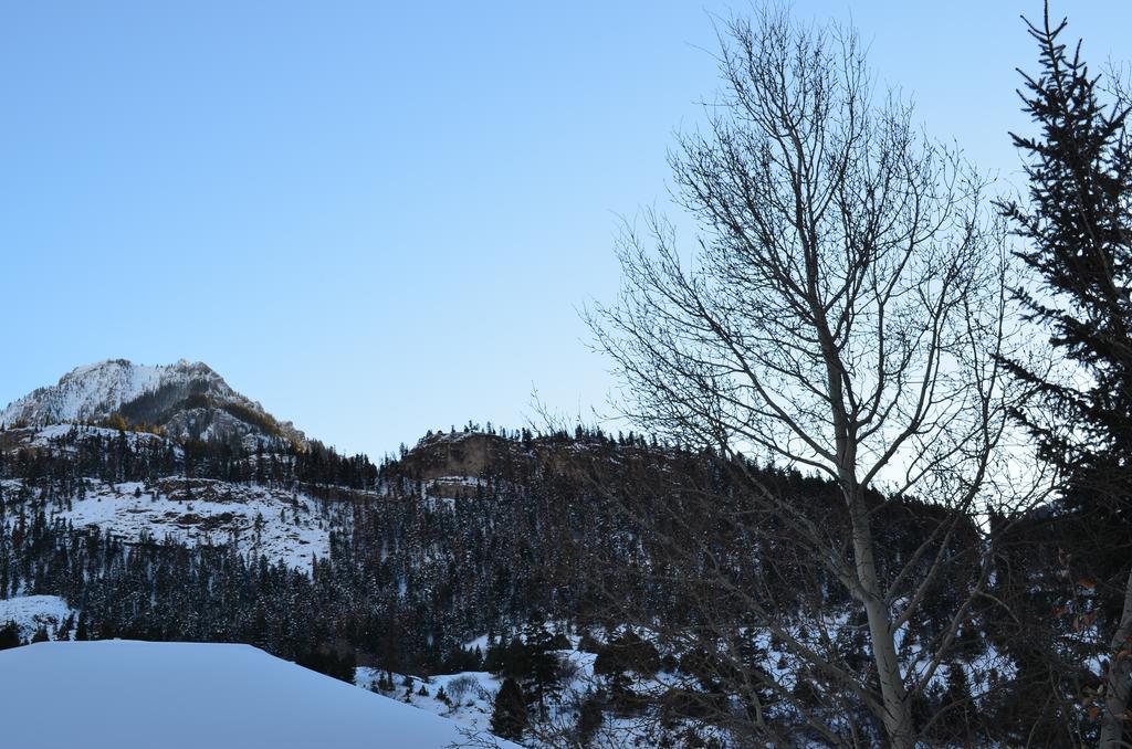 The Ouray Main Street Inn Rum bild