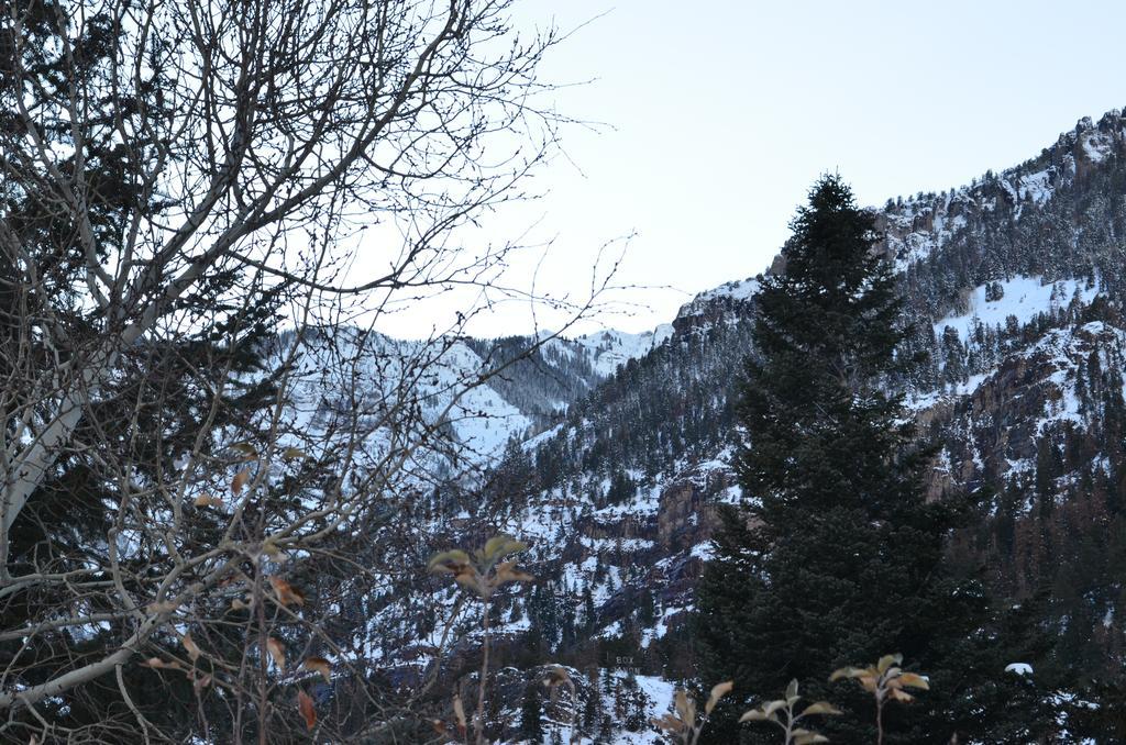 The Ouray Main Street Inn Rum bild